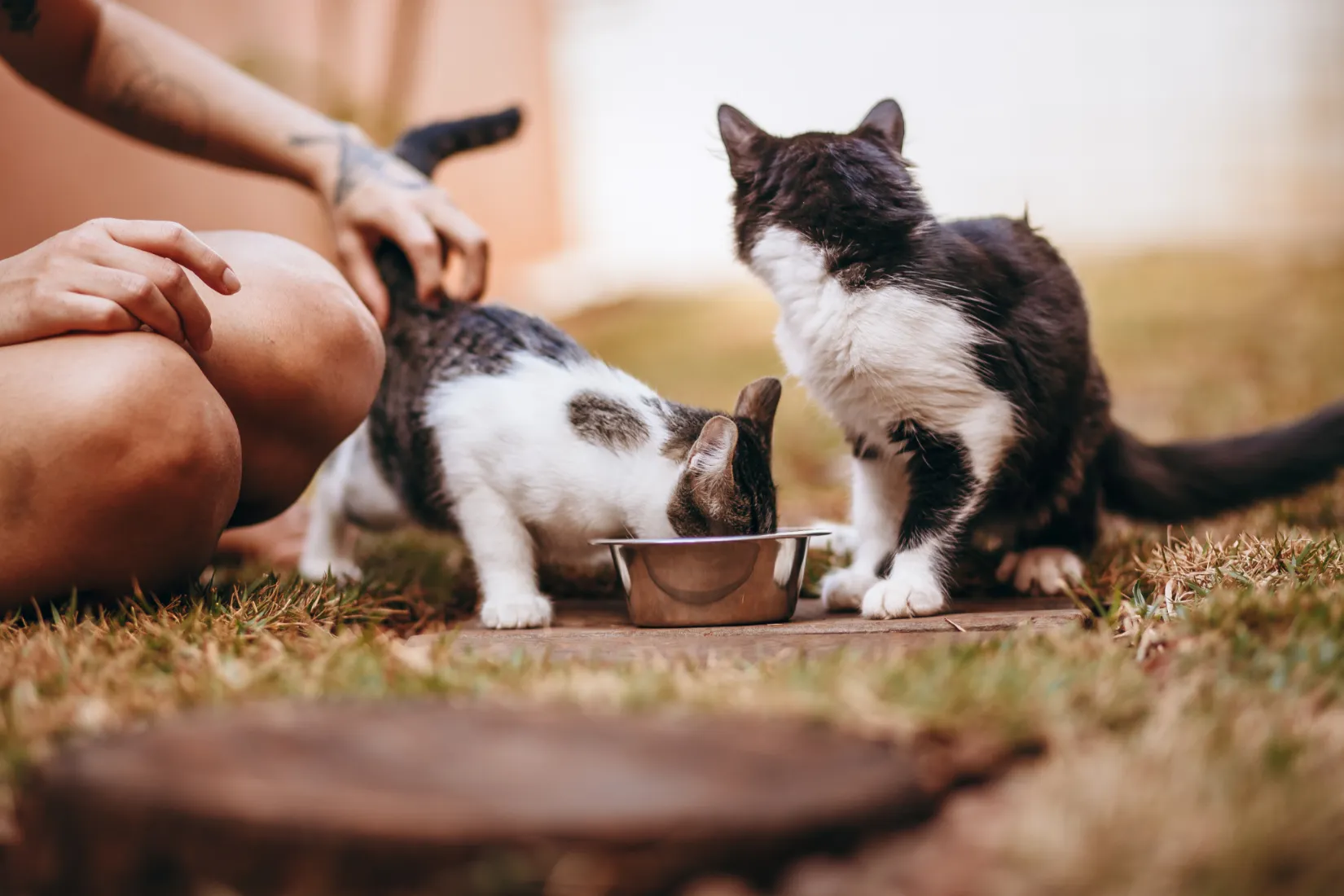 Protecting Product Quality Starts with the Right Partner.