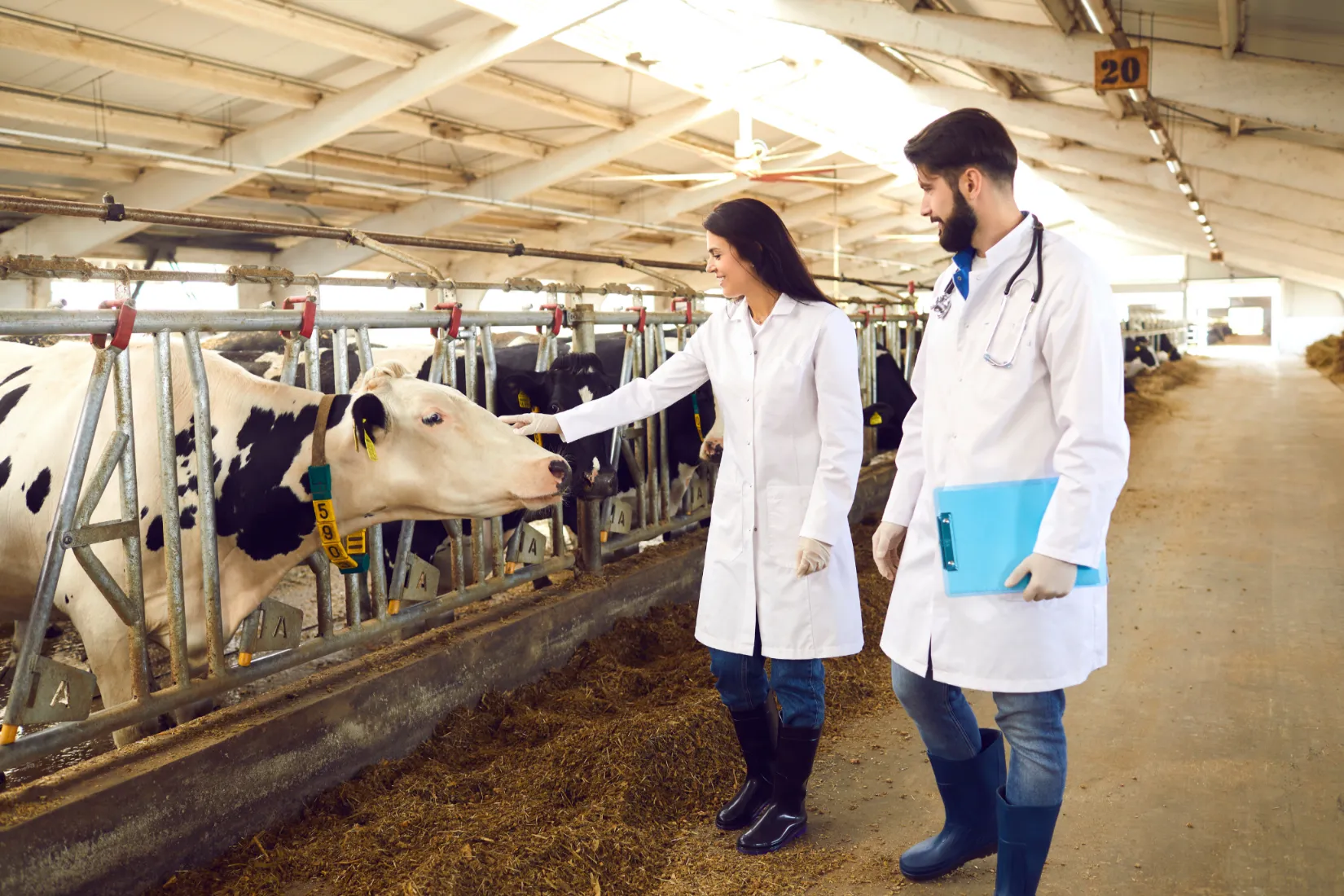 Research That Delivers Real-World Value
