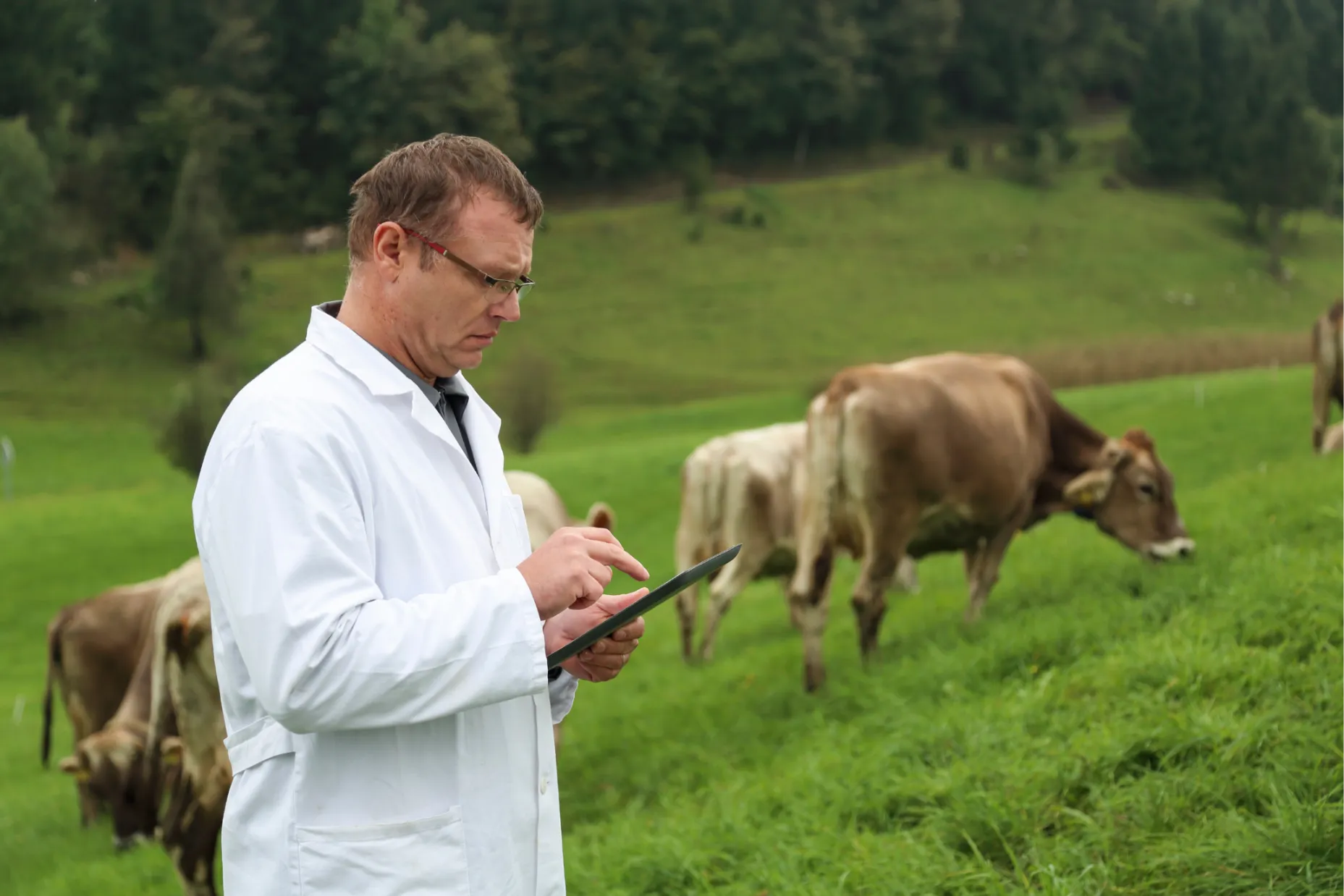 Turning Research into Real-World Results