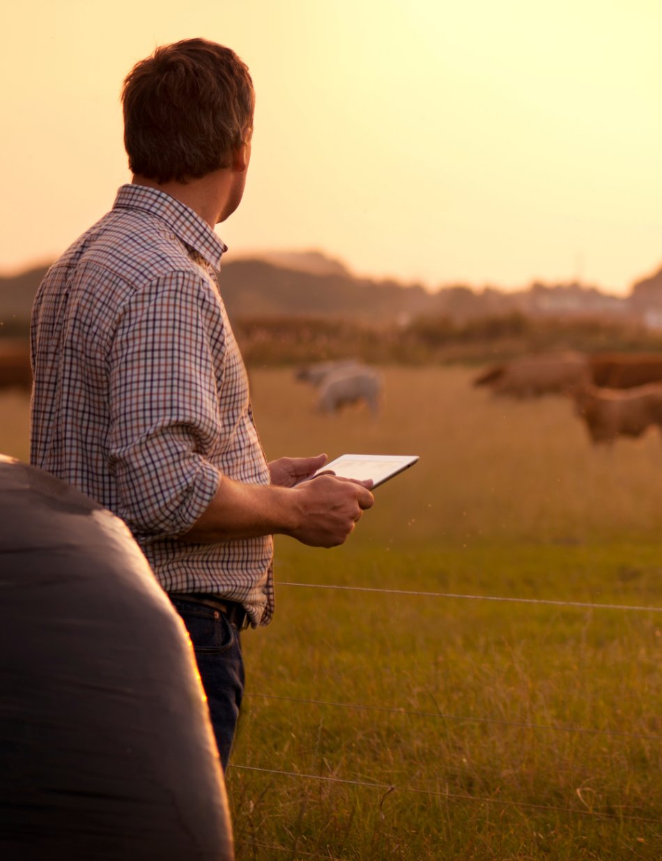 Solutions for Every Feeding Program