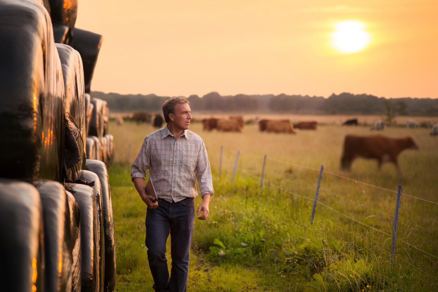 Farmers