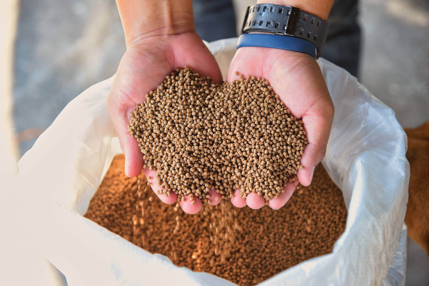 Animal Feed Manufacturers